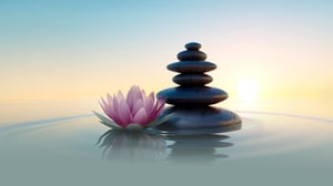 Meditation image of a balanced stack of smooth, dark stones and a blooming pink lotus flower resting on a calm water surface.
